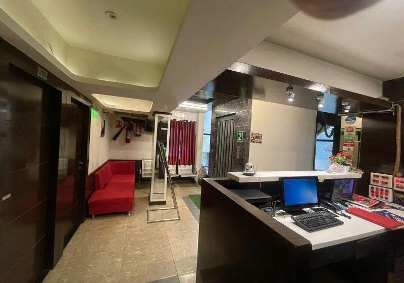 Отель The Metro Park