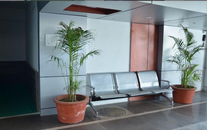 Отель The Metro Park