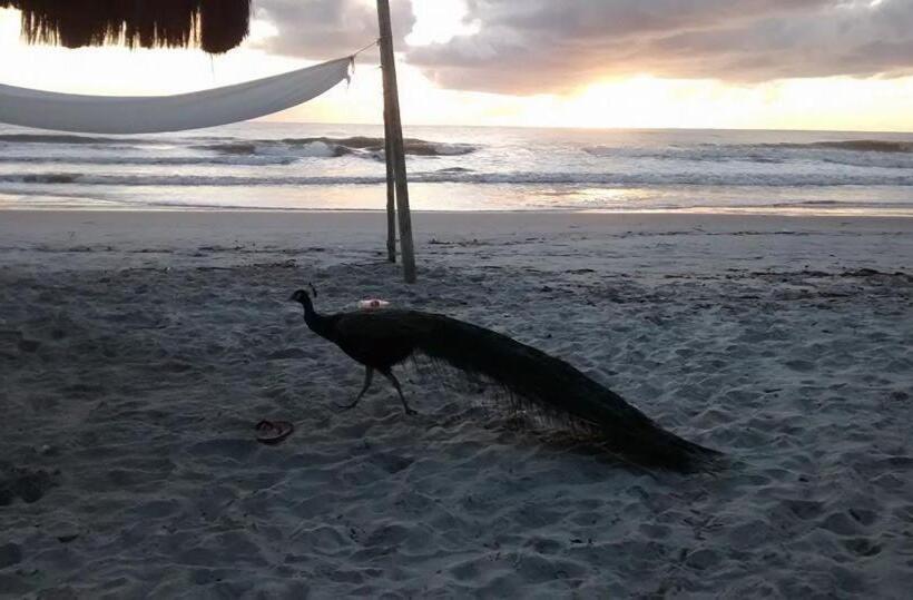 פנסיון Pousada Ilha Do Desejo