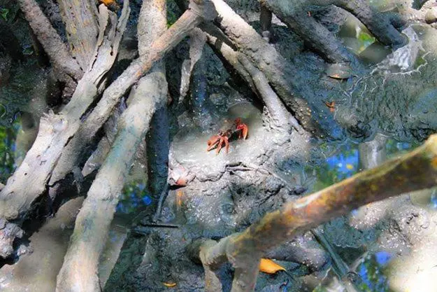 ペンション Pousada Ilha Do Desejo