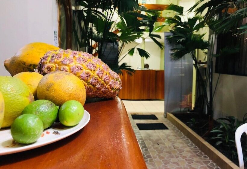 膳宿费 Sol De Selva Hostal