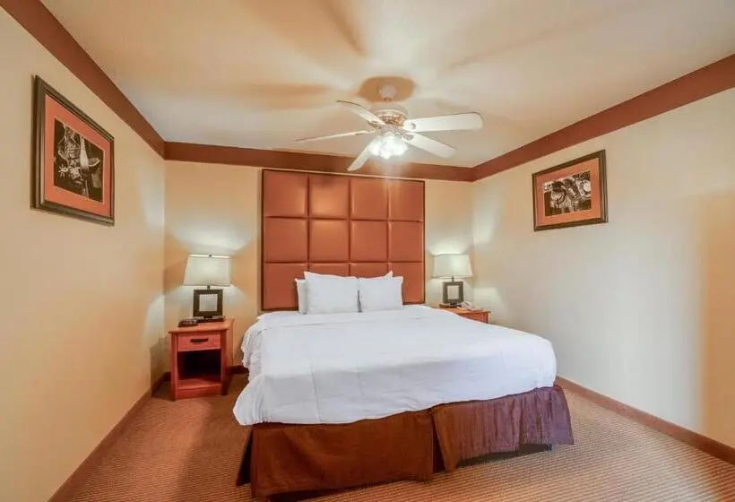 ホテル Texan Inn By Oyo Beeville Us 181