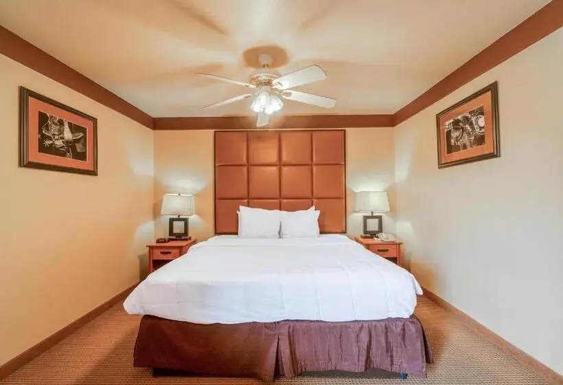 ホテル Texan Inn By Oyo Beeville Us 181