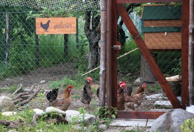 Отель Lu Garun Rus