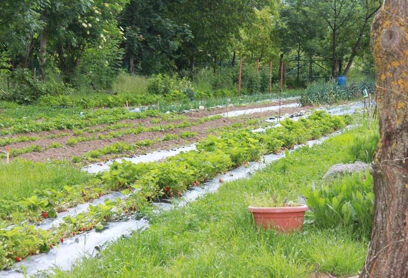 Отель Lu Garun Rus