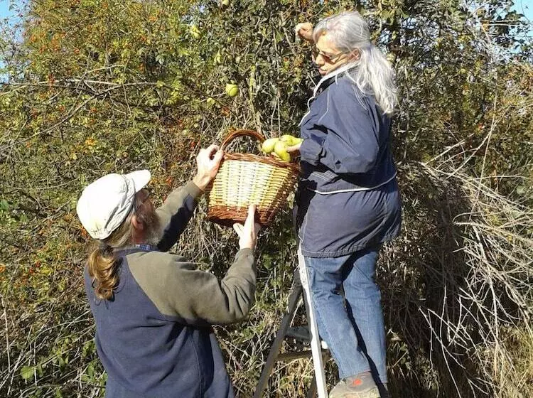 Majatalo B&b Masia Rovira