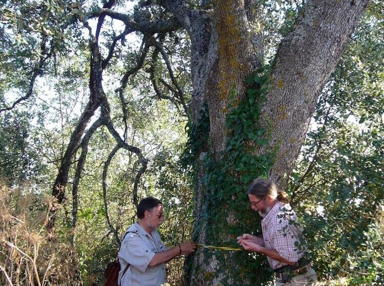 Пансион B&b Masia Rovira