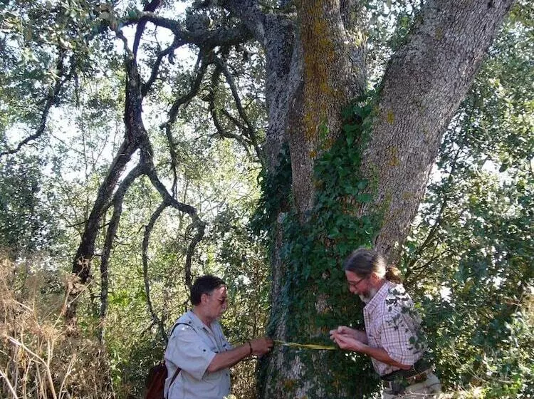 Majatalo B&b Masia Rovira