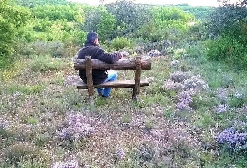 Пансион B&b Masia Rovira