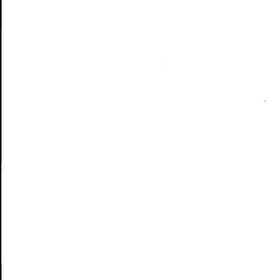 פנסיון Reheifo Lodge