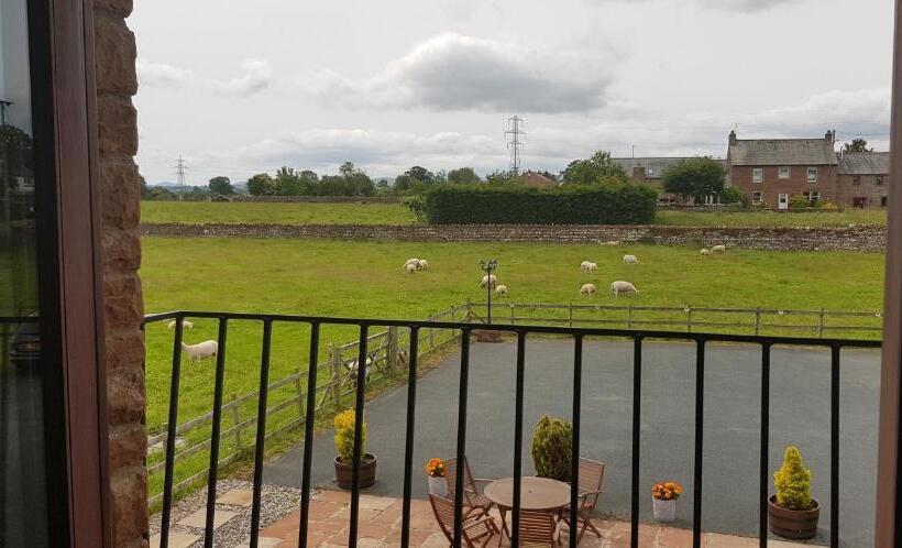 بنسيون The Ginney Country Guest House