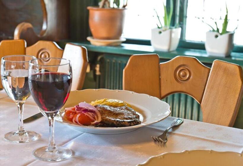 هاستل Värdshuset Engelbrekt