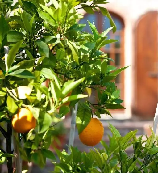 ホテル Agriturismo Malpensata