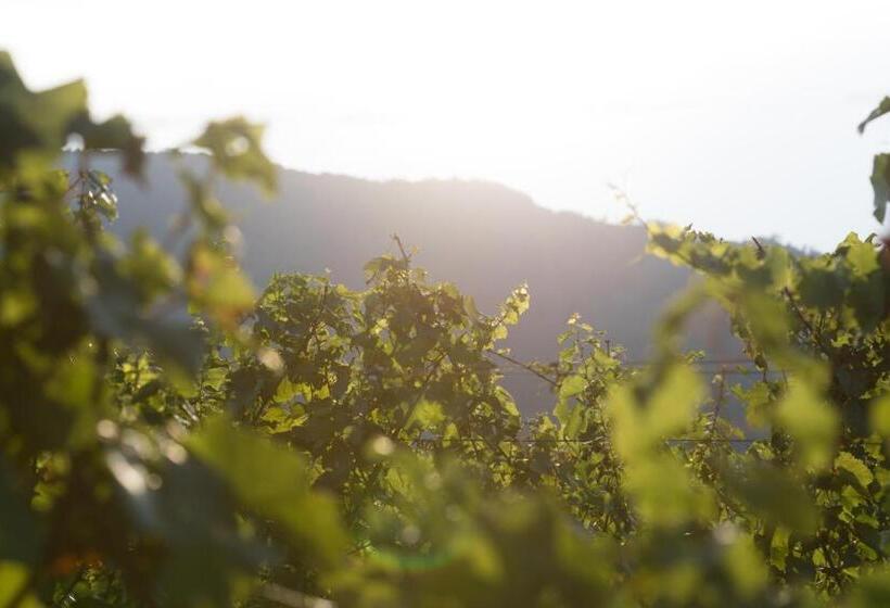 בית מלון כפרי Cascina Clarabella