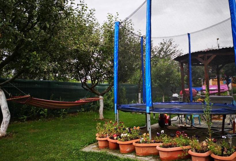 ペンション Podgoria Guesthouse  Camere De închiriat