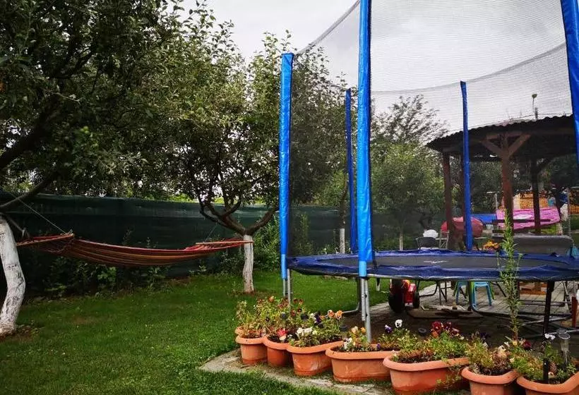 Majatalo Podgoria Guesthouse  Camere De închiriat