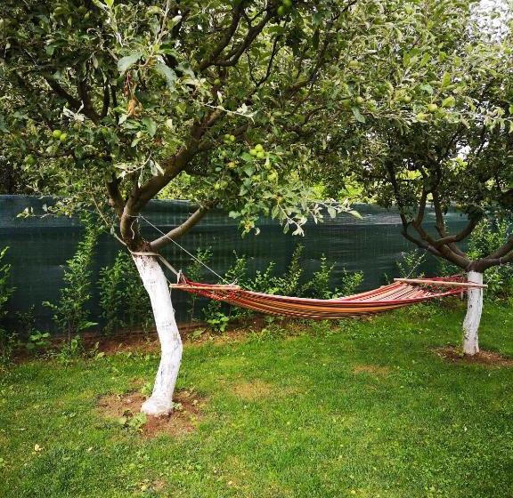 ペンション Podgoria Guesthouse  Camere De închiriat