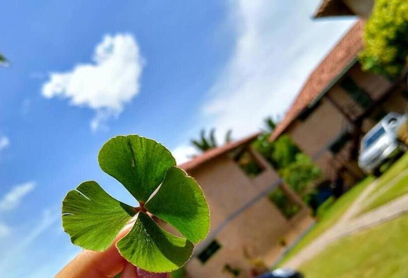 פנסיון Pousada Boa Sorte