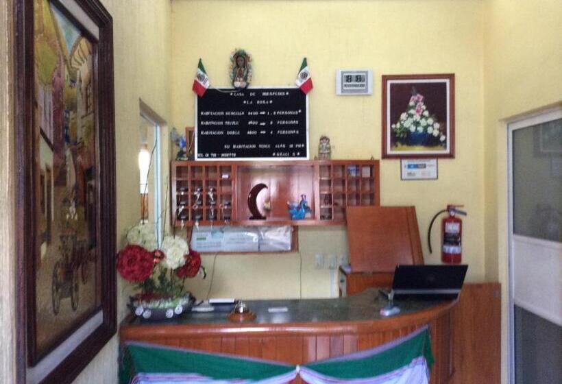 ユースホステル Casa De Huéspedes La Rosa