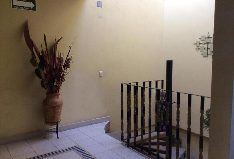 ユースホステル Casa De Huéspedes La Rosa