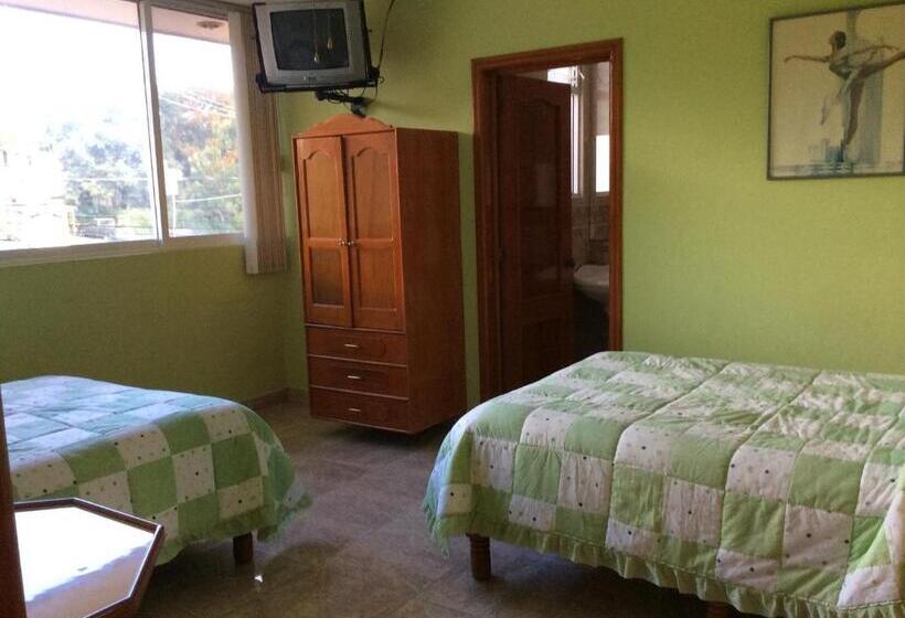 ユースホステル Casa De Huéspedes La Rosa