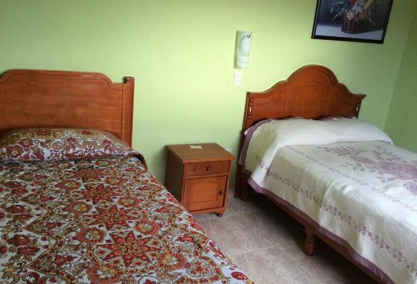 ユースホステル Casa De Huéspedes La Rosa