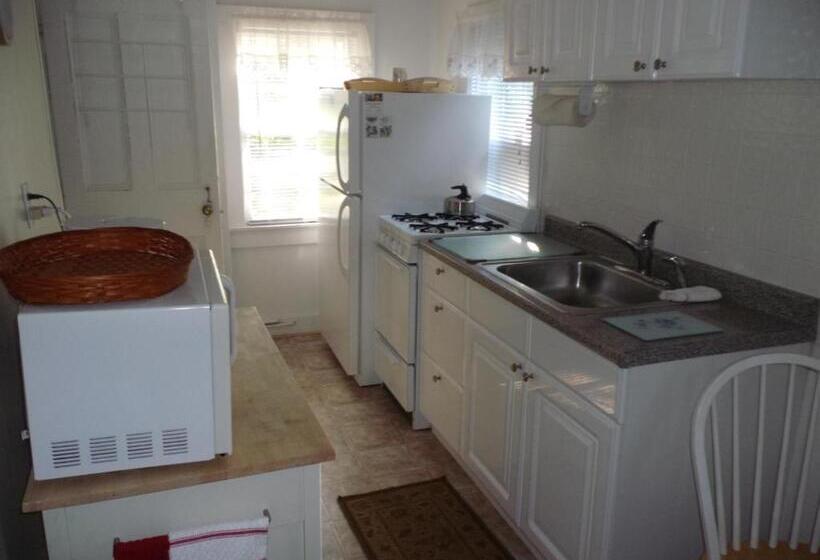 הוסטל Historic White Blossom House