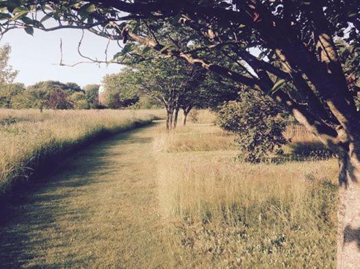 הוסטל Historic White Blossom House