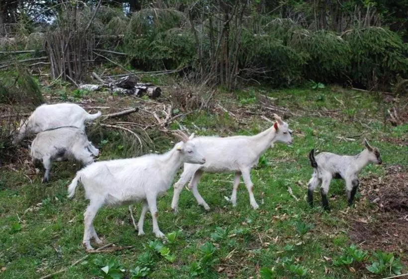 هتل Farm Stay Dolinar Krainer