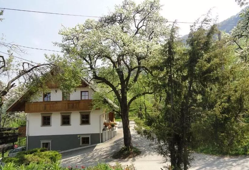 هتل Farm Stay Dolinar Krainer