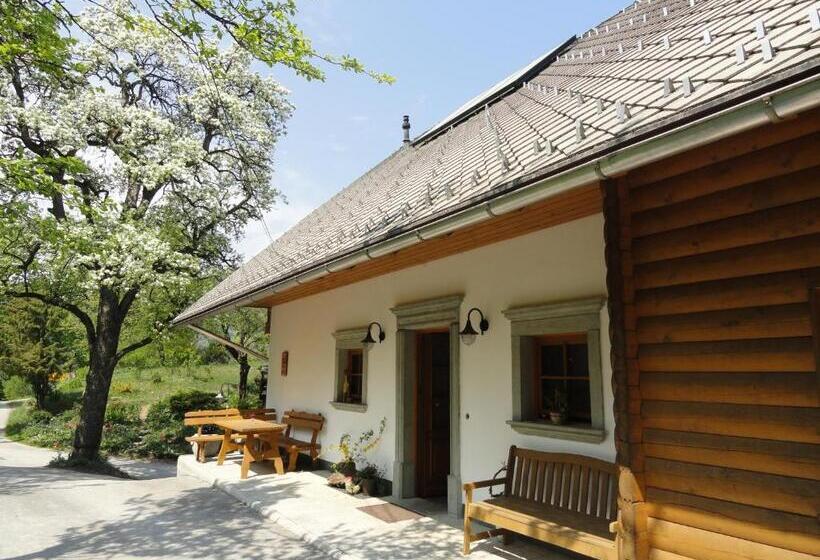 هتل Farm Stay Dolinar Krainer