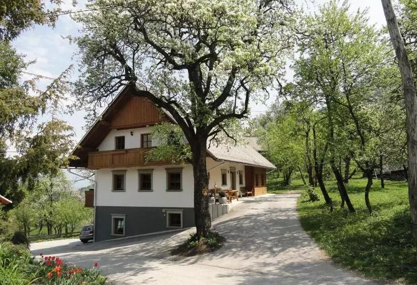 هتل Farm Stay Dolinar Krainer