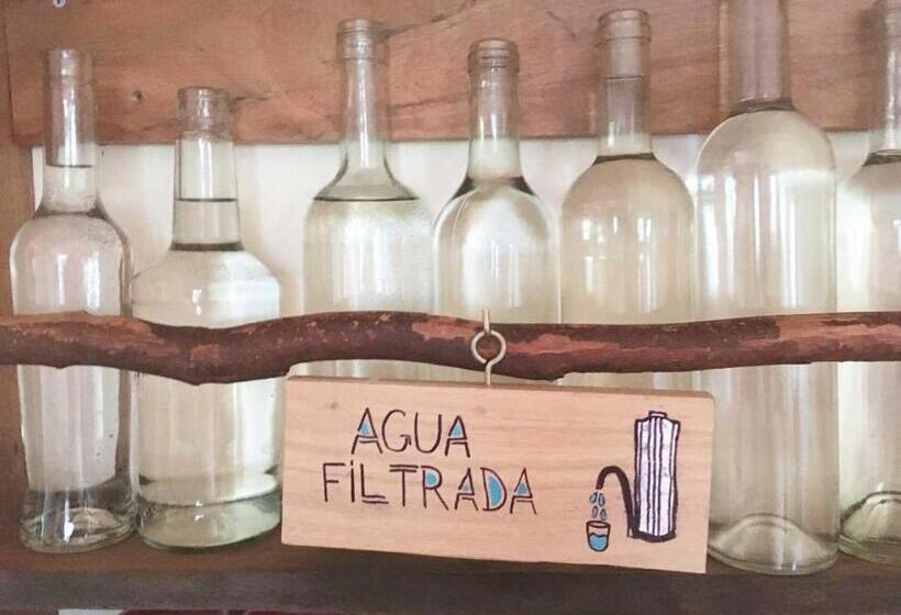 膳宿费 Airesbuenos Hostel Y Permacultura