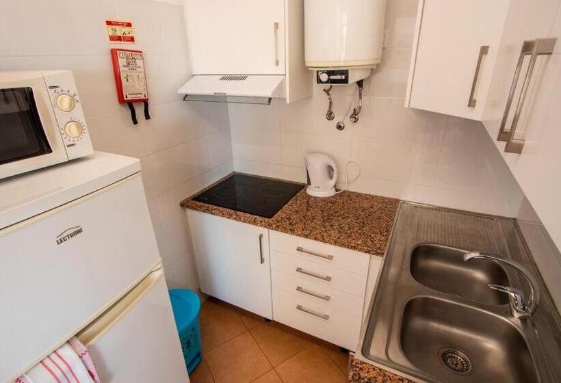 بنسيون Colmeia  Alojamento Local