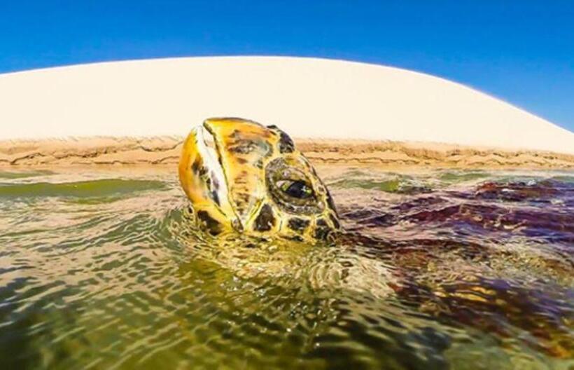 膳宿费 Pousada Beira Rio Parnaíba