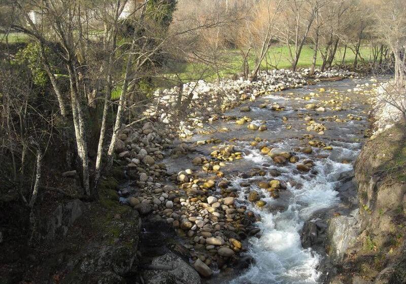 پانسیون Quinta Da Vargem