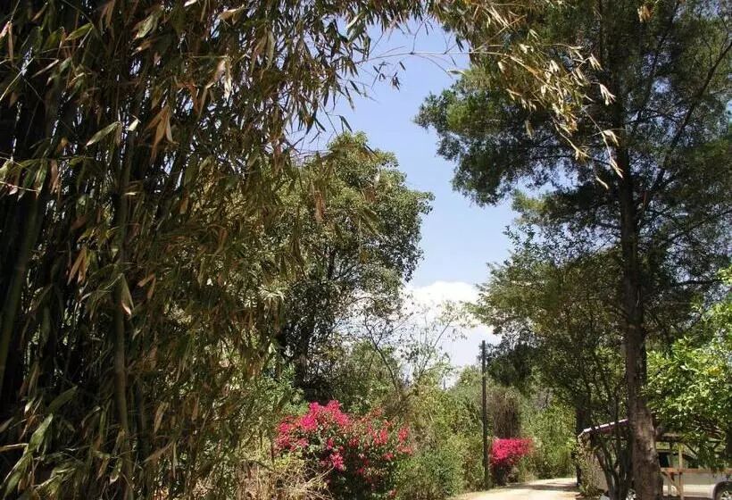 Retkeilymaja El Rincón De San Agustín Etla