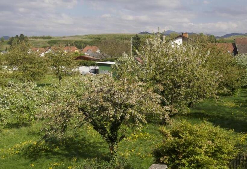 Общежитие Zum Schwanen Garni