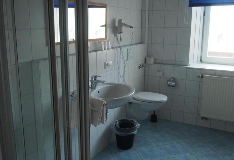 Общежитие Zum Schwanen Garni