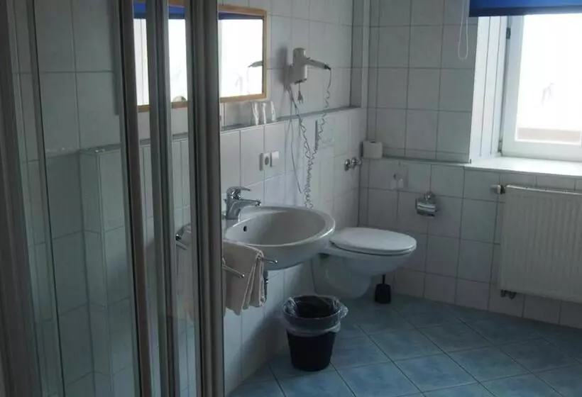 ユースホステル Zum Schwanen Garni