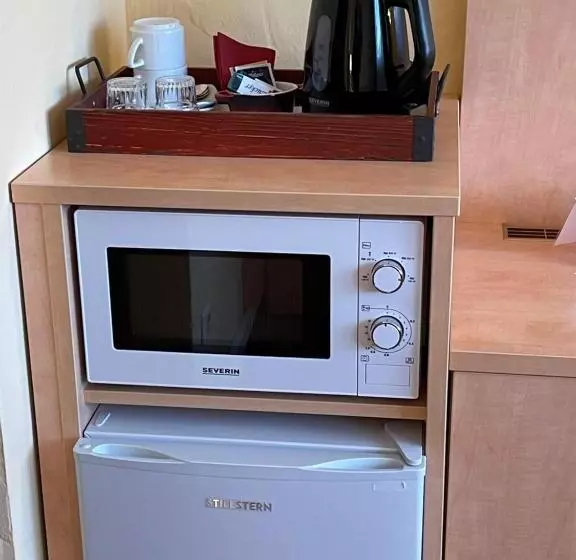 ユースホステル Zum Schwanen Garni