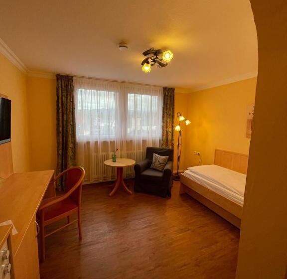 Общежитие Zum Schwanen Garni