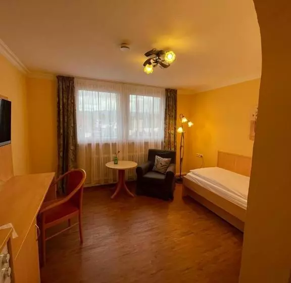 ユースホステル Zum Schwanen Garni