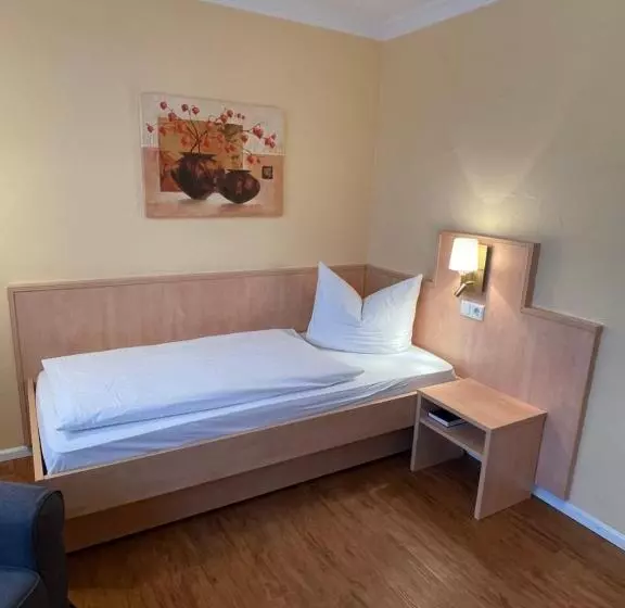 ユースホステル Zum Schwanen Garni