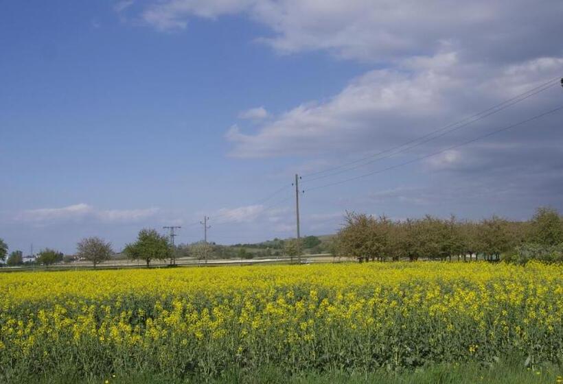 Общежитие Zum Schwanen Garni