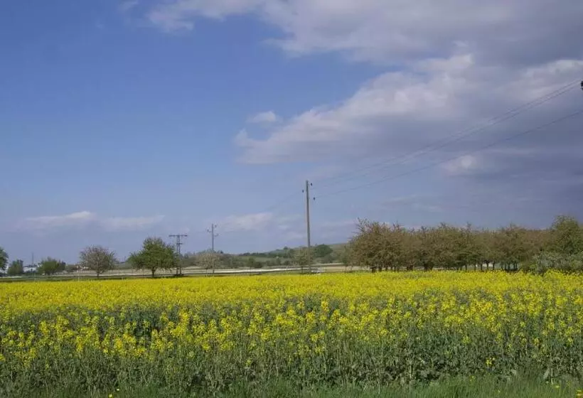 ユースホステル Zum Schwanen Garni