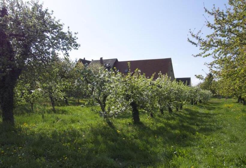 Общежитие Zum Schwanen Garni