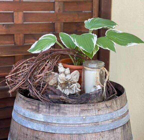 Общежитие Zum Schwanen Garni