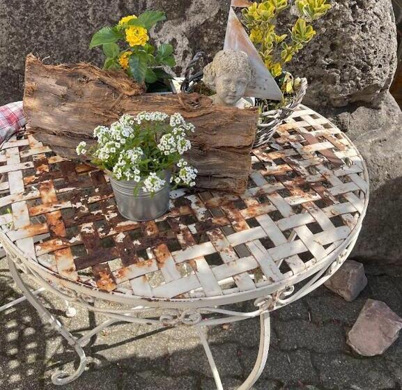 Общежитие Zum Schwanen Garni