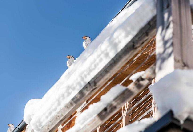 Sonus Alpis Adults Only